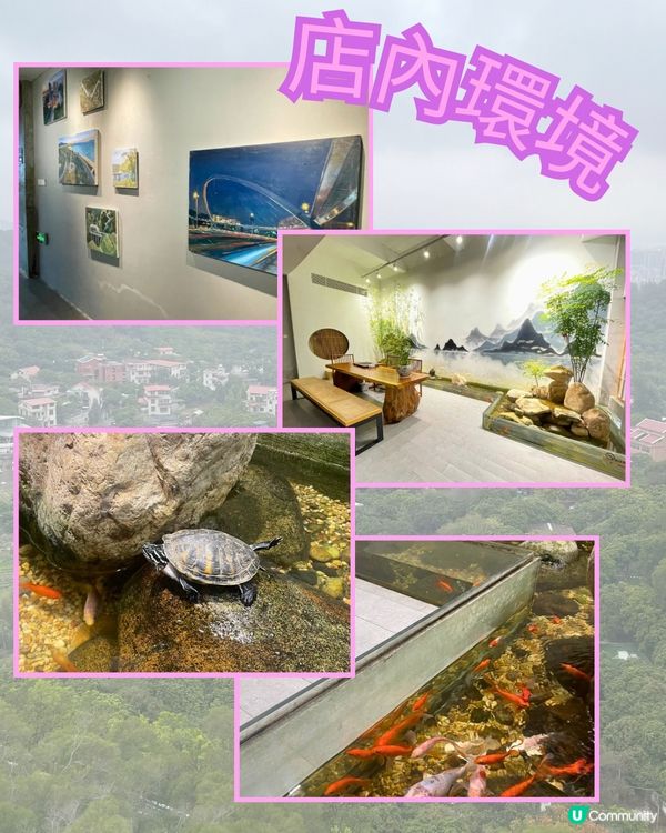 廈門見山海，佛系賞花海！🌸🌼