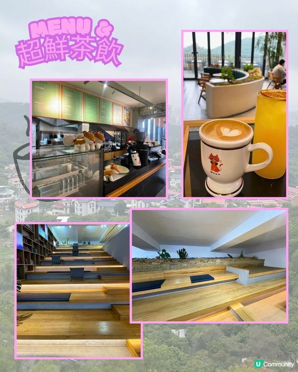 廈門見山海，佛系賞花海！🌸🌼