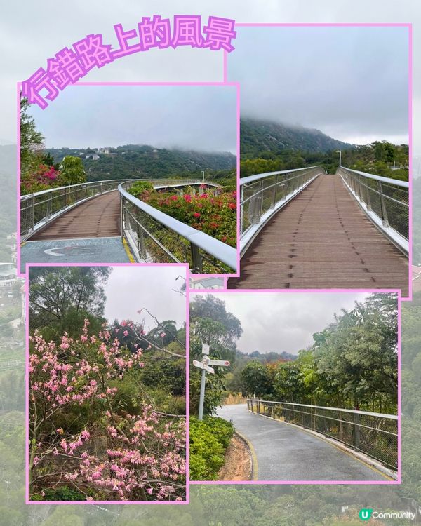 廈門見山海，佛系賞花海！🌸🌼