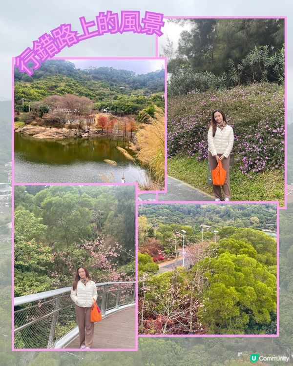 廈門見山海，佛系賞花海！🌸🌼