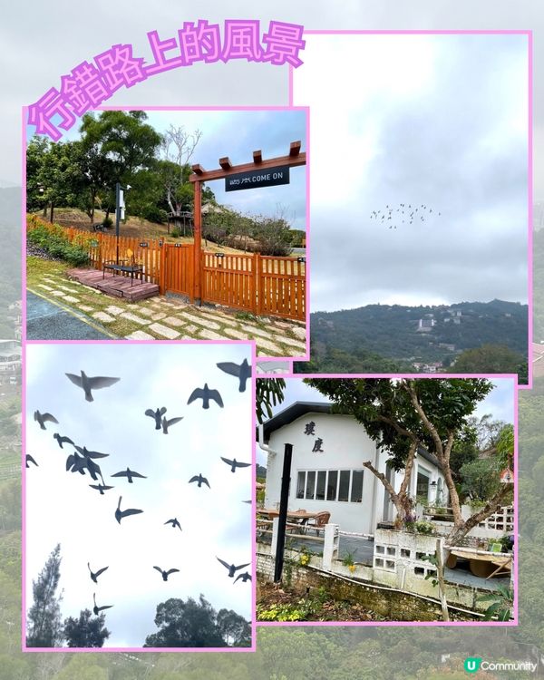 廈門見山海，佛系賞花海！🌸🌼