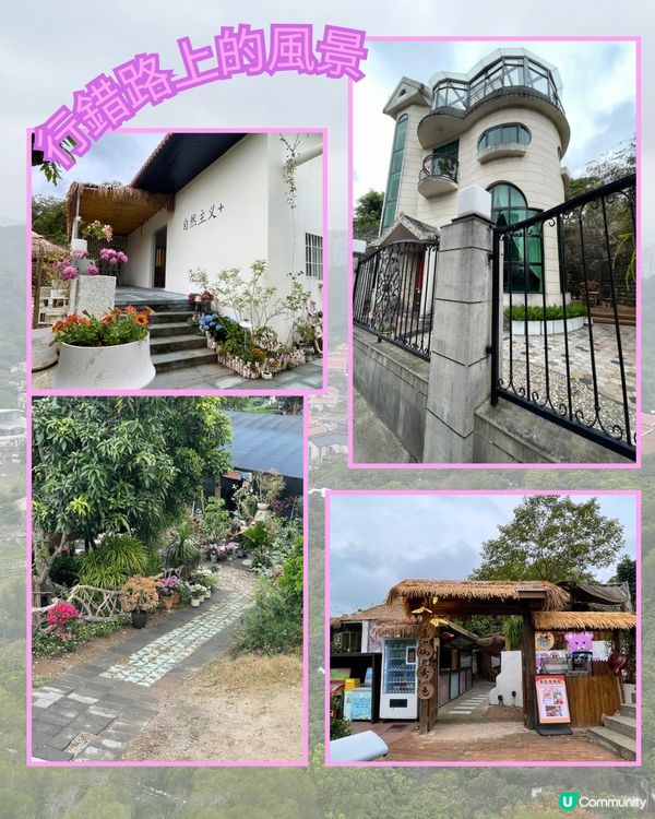 廈門見山海，佛系賞花海！🌸🌼