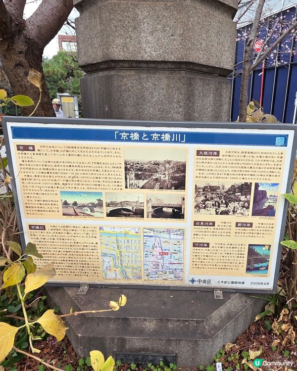 東京1月早櫻🌸有驚喜🤩