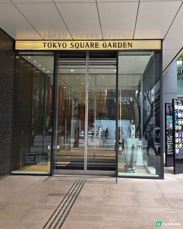 東京1月早櫻🌸有驚喜🤩