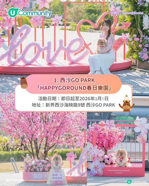 【新年好去處2026】全港8大新春打卡活動🧨粉紅桃花/祈福牆/幻彩燈籠海