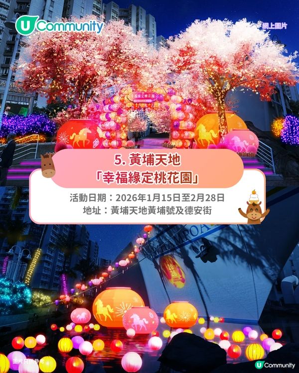 【新年好去處2026】全港8大新春打卡活動🧨粉紅桃花/祈福牆/幻彩燈籠海
