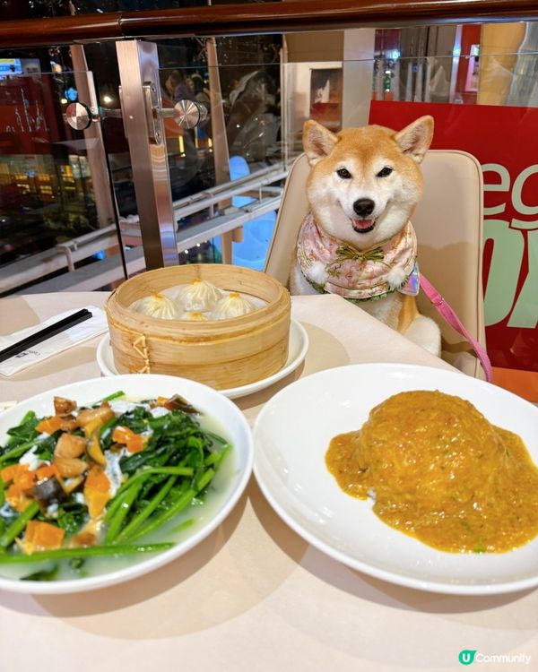 / 帶毛孩食上海菜\