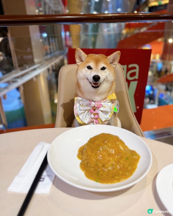 / 帶毛孩食上海菜\