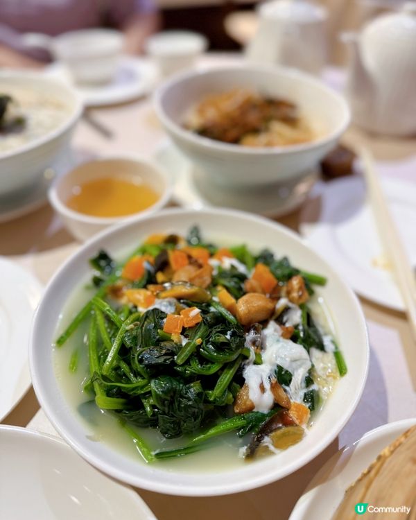 / 帶毛孩食上海菜\