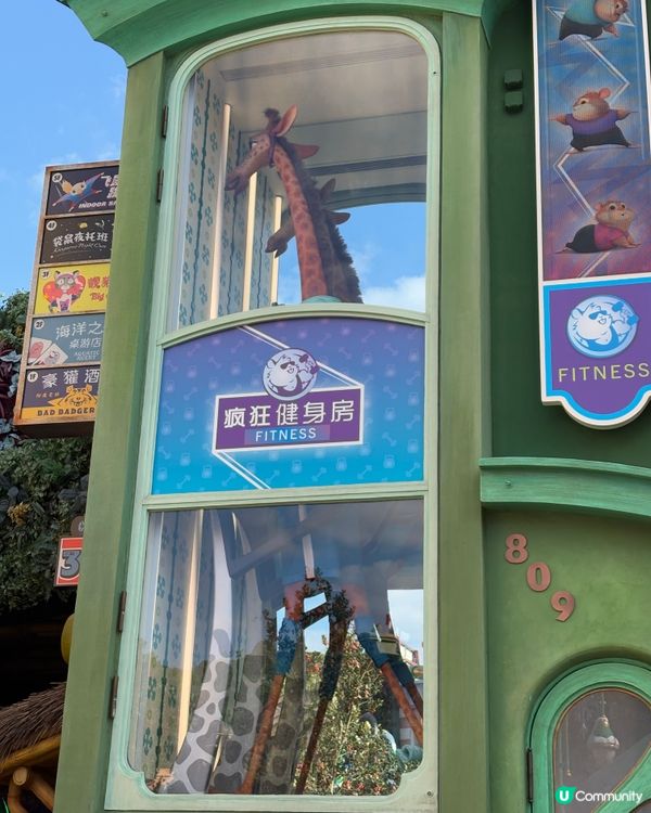 上海迪士尼動物城！🤩 1:1還原超正！✨