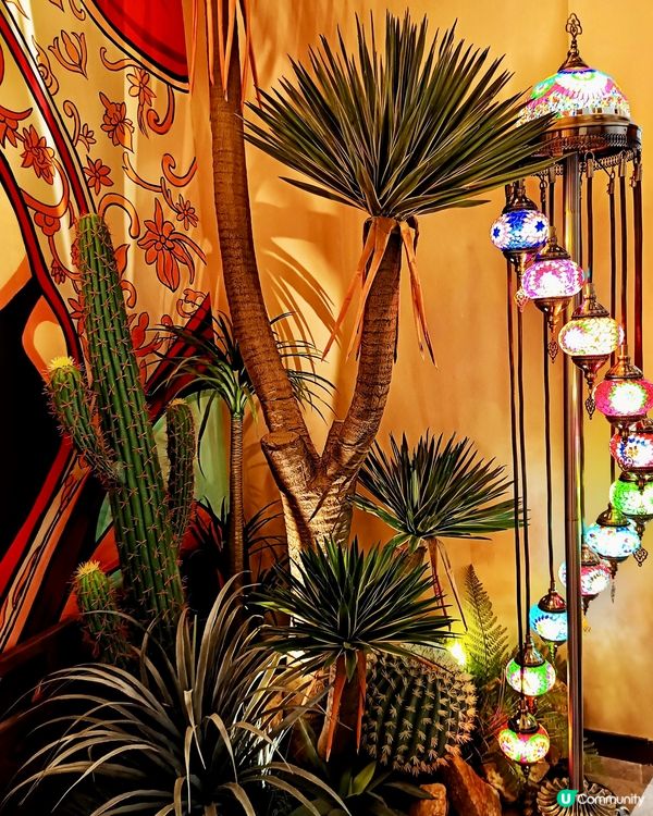 深圳全新地標🤩 中東新奇美食探險！