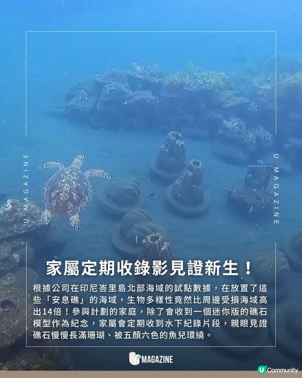 英國推「安息礁」技術！讓至親遺愛化作一場生態修復行動