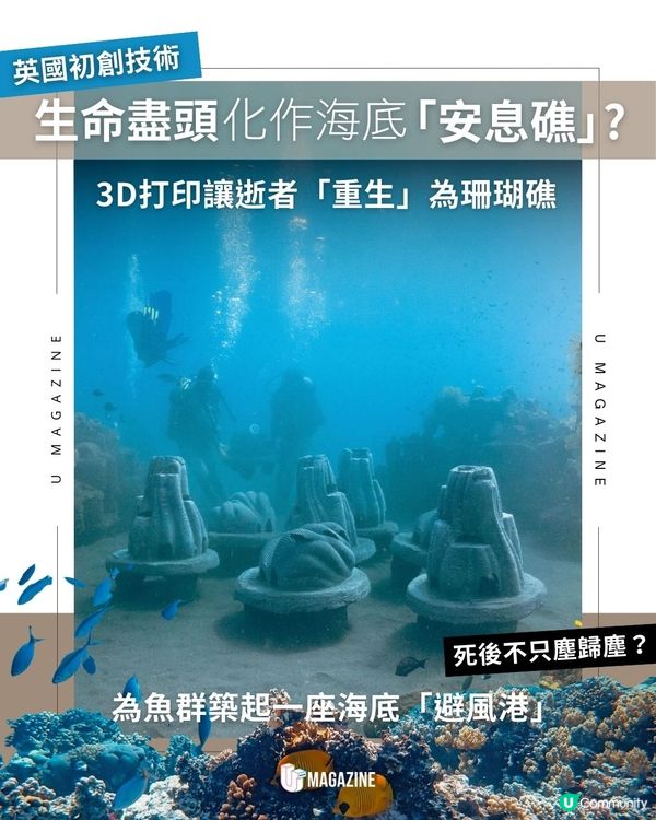 英國推「安息礁」技術！讓至親遺愛化作一場生態修復行動