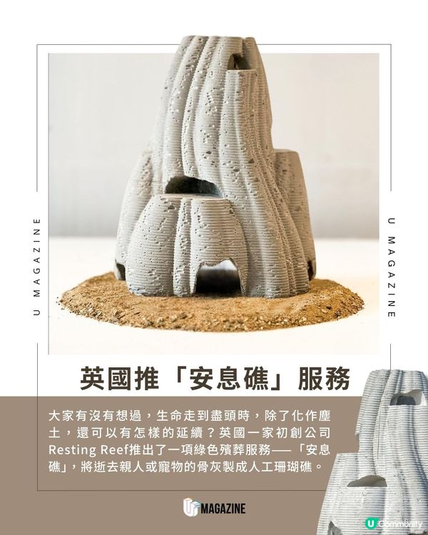 英國推「安息礁」技術！讓至親遺愛化作一場生態修復行動