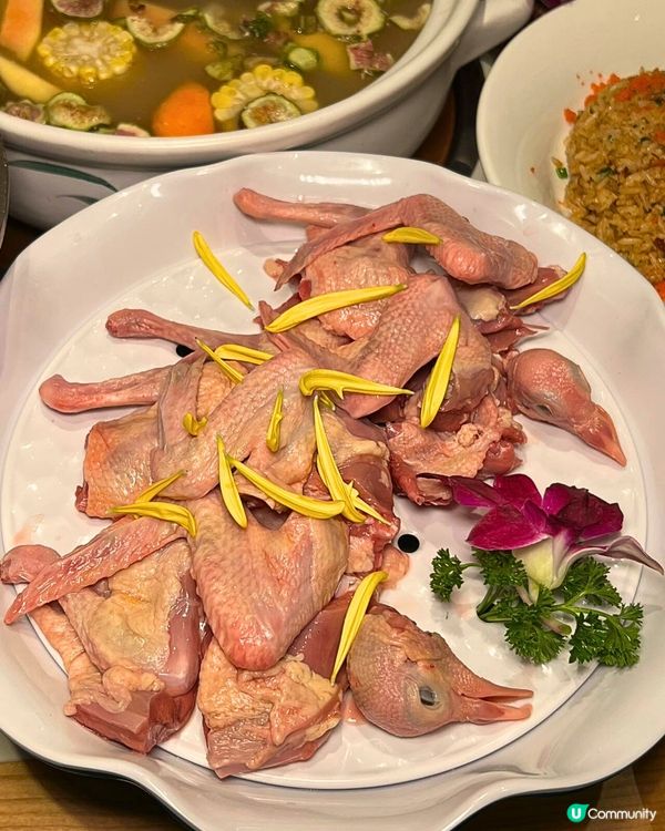 蓮塘新開！$118歎2乳鴿火鍋😋