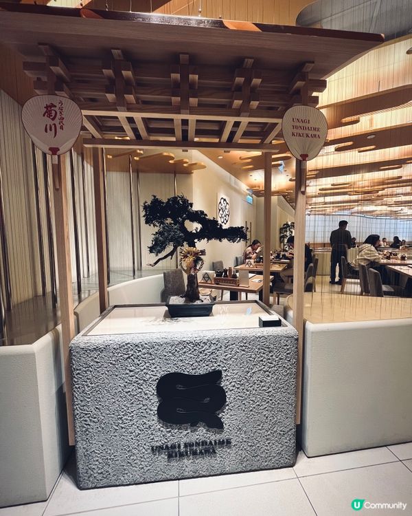 日本過江龍米芝蓮老字號🇯🇵🔥冬季限定白燒鰻鍋