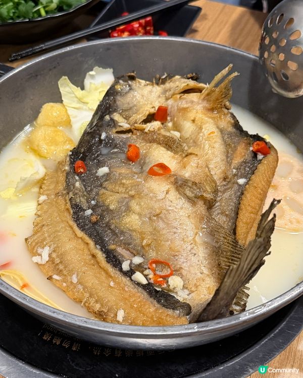 大癲‍🙂‍↔️任食烤魚牛雜煲羊腩煲⚡️