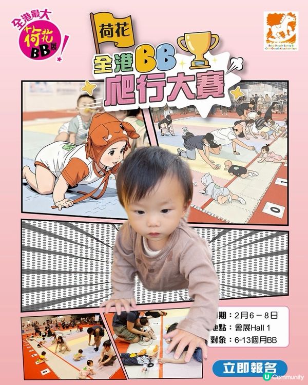 荷花展掃貨攻略！👶🛍️