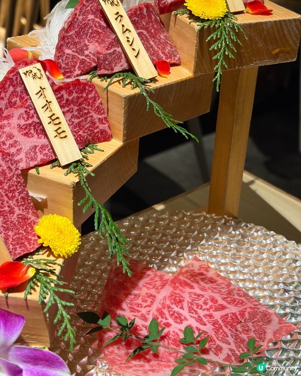 🇯🇵大阪儀式感和牛燒肉店⸜♡⸝慶祝之選