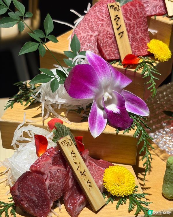 🇯🇵大阪儀式感和牛燒肉店⸜♡⸝慶祝之選