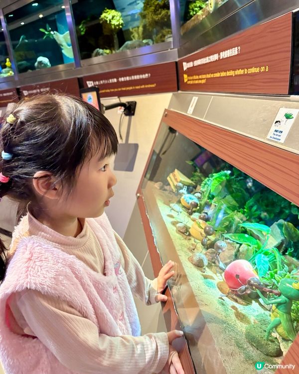 挪亞方舟玩足一日！🤩
