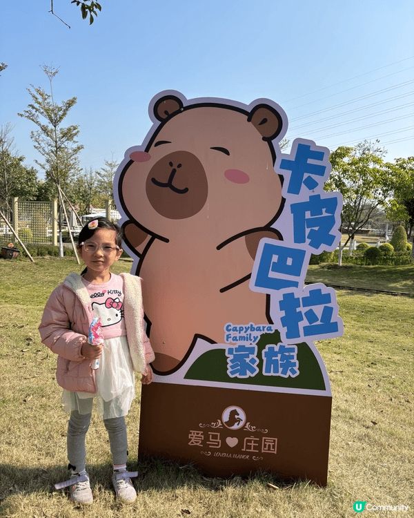 去到佛山盈香心動樂園，除了機動遊戲，還有卡比巴拉，草泥馬等動...