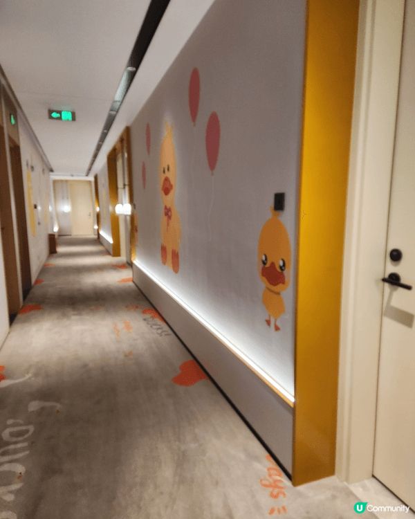 🏨 珠海 B duck 親子三床房⛺️😍