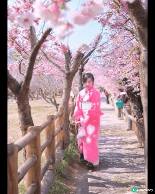 喜歡日本