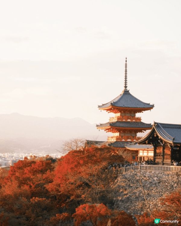 京都旅行必去嘅景點絕對係清水寺～特別係紅葉時間，喺寺上位置望...