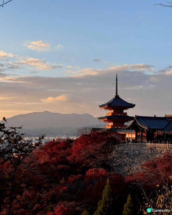 京都旅行必去嘅景點絕對係清水寺～特別係紅葉時間，喺寺上位置望...
