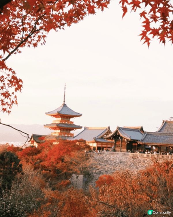 京都旅行必去嘅景點絕對係清水寺～特別係紅葉時間，喺寺上位置望...
