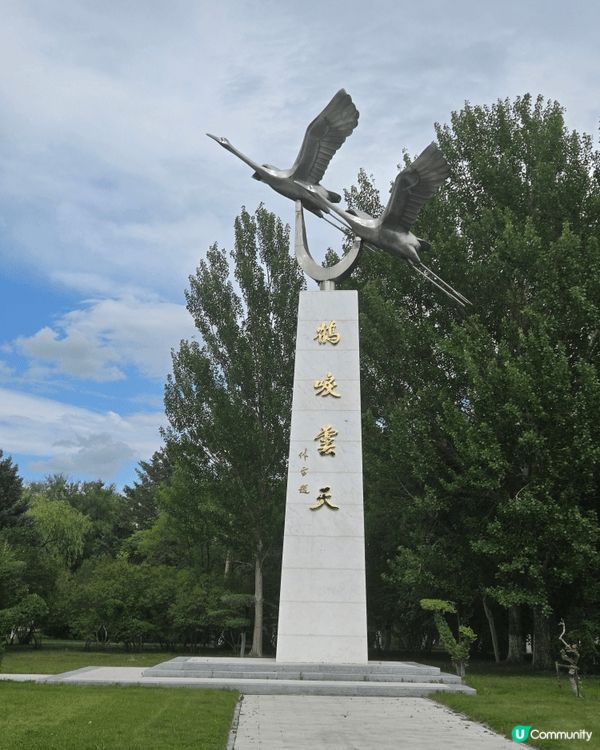 國寶雀鳥丹頂鶴