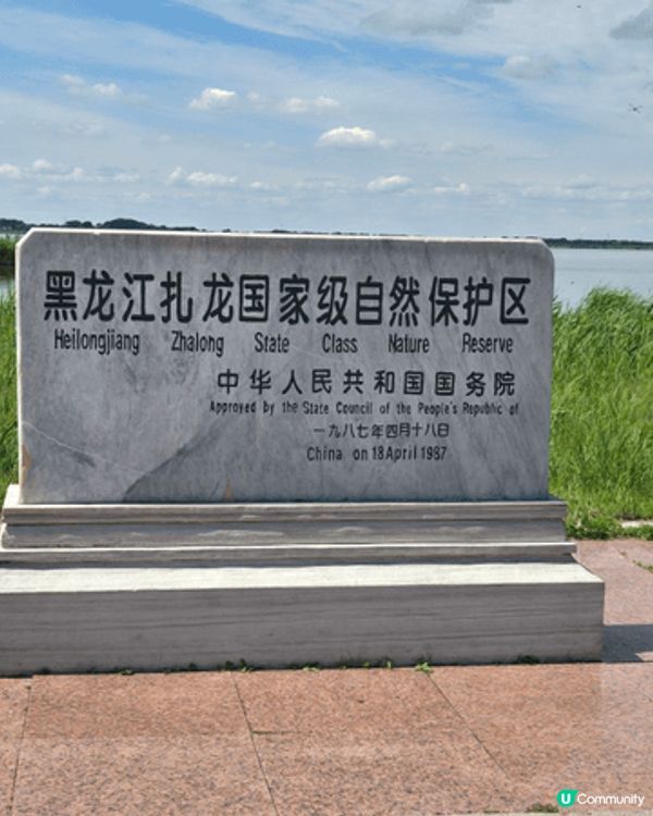 國寶雀鳥丹頂鶴