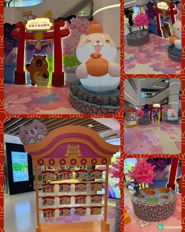 卓爾廣場@「柴運亨通過肥年」