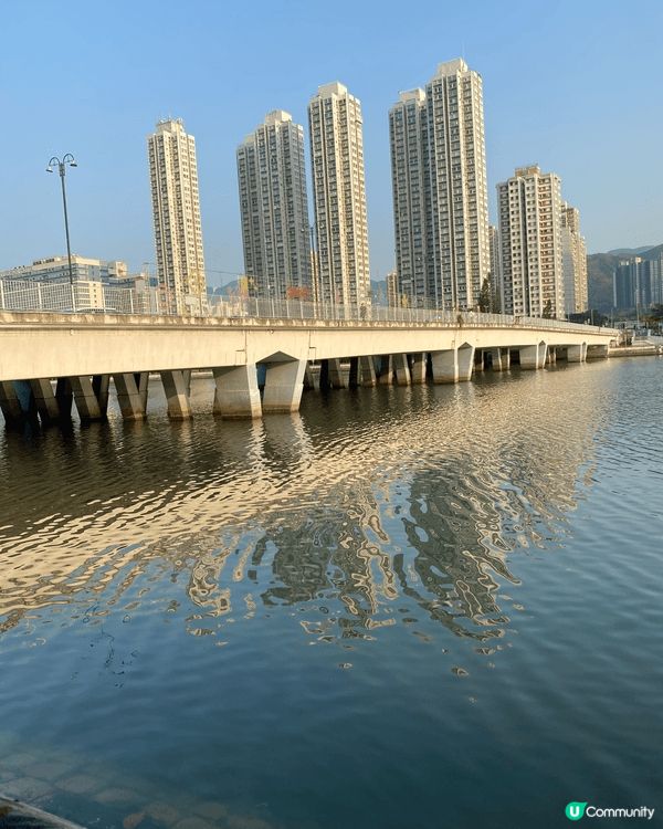 沙田公園真的是很棒！很適合帶全家遊玩，有各種特色公園，還有兒...
