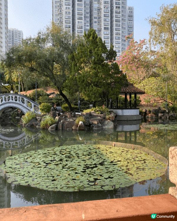 沙田公園真的是很棒！很適合帶全家遊玩，有各種特色公園，還有兒...