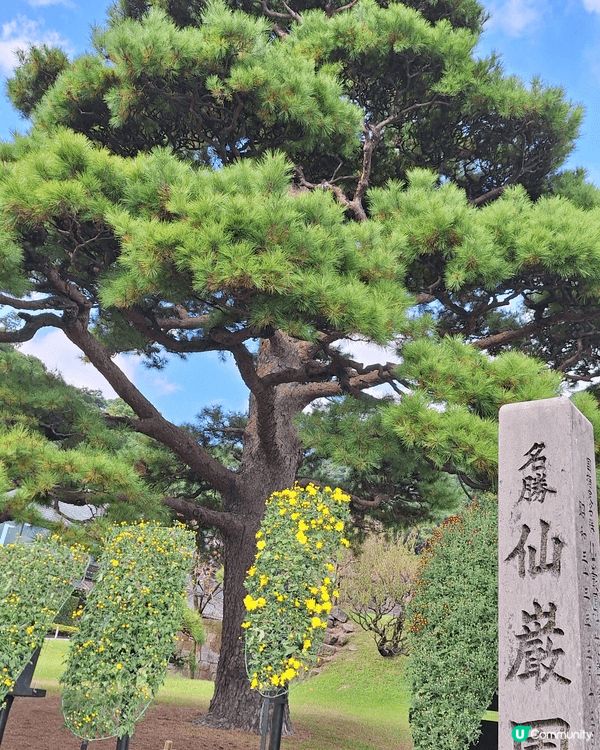 最近我去咗鹿兒島，真係被櫻島火山勁吸引！近距離望住火山，感受...