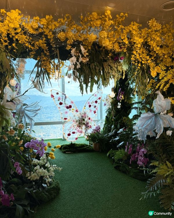 台北101觀景台，上到去有好多唔同既打卡位，仲可以一次過俯瞰...