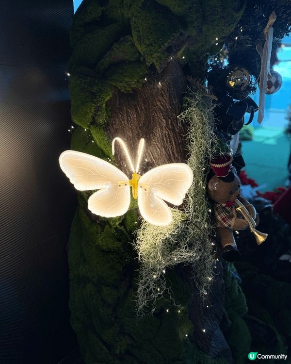 台北101觀景台，上到去有好多唔同既打卡位，仲可以一次過俯瞰...