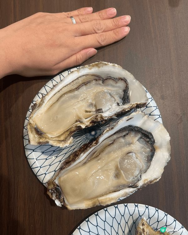 去黑門市場食巨大生蠔🦪，奈良餵鹿，動物園睇動物，勁啱小朋友去...