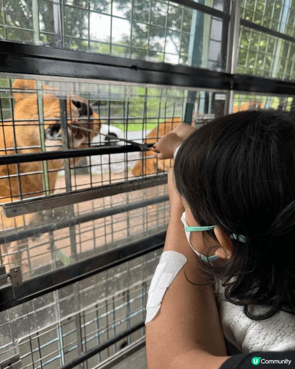 去黑門市場食巨大生蠔🦪，奈良餵鹿，動物園睇動物，勁啱小朋友去...