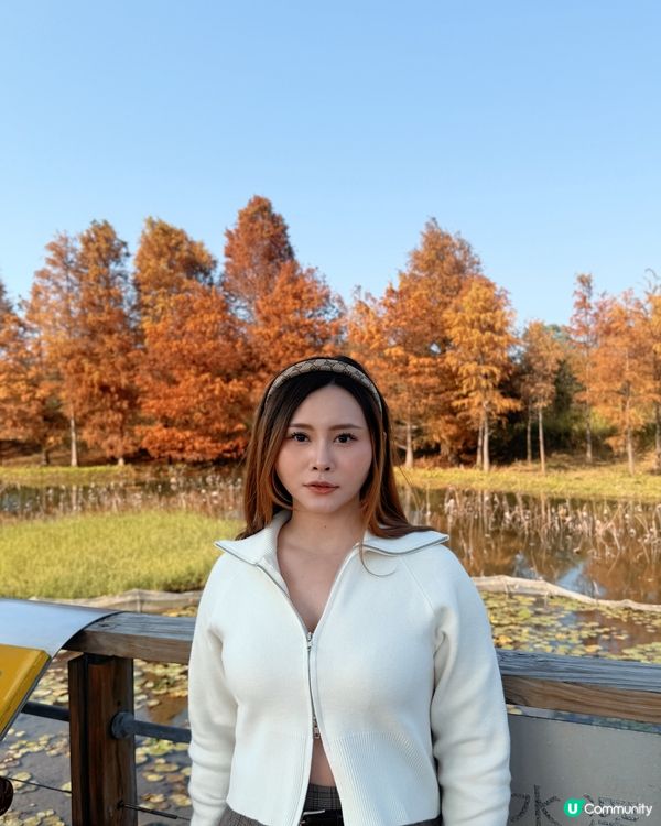 紅葉打卡！濕地公園秋意濃 🍁