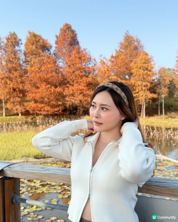 紅葉打卡！濕地公園秋意濃 🍁