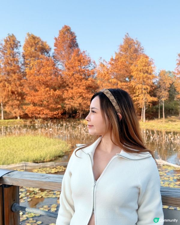 紅葉打卡！濕地公園秋意濃 🍁