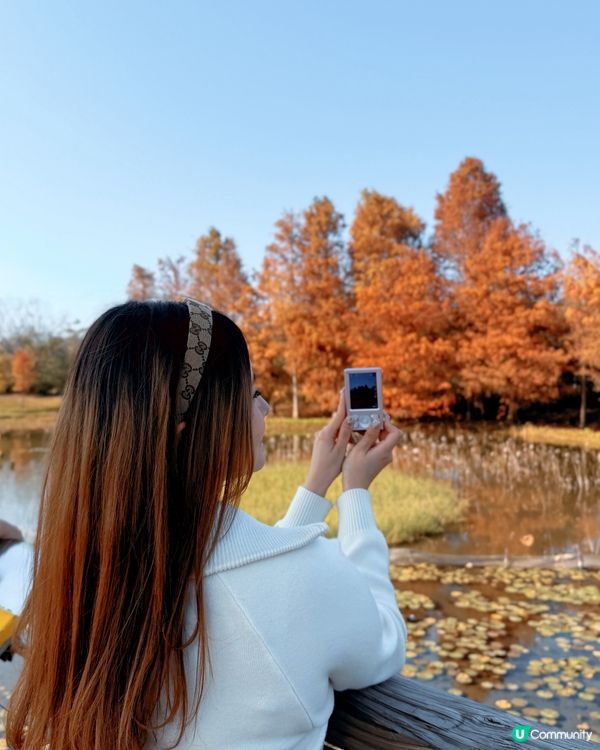 紅葉打卡！濕地公園秋意濃 🍁