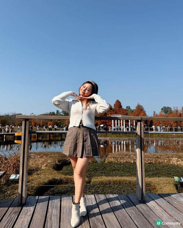 紅葉打卡！濕地公園秋意濃 🍁