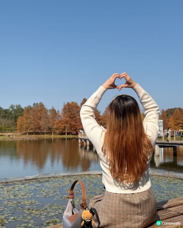 紅葉打卡！濕地公園秋意濃 🍁