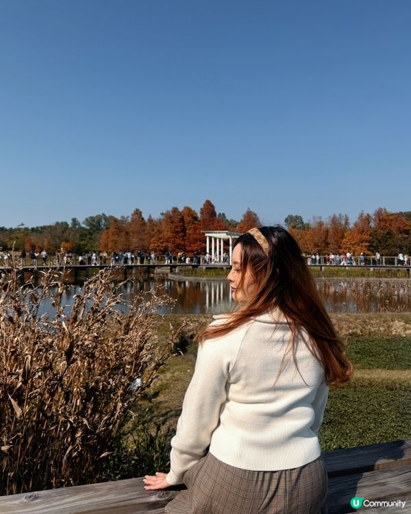 紅葉打卡！濕地公園秋意濃 🍁