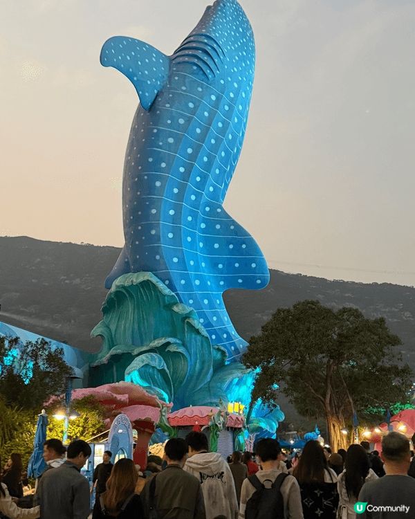 珠海長隆真係充滿驚喜！見到好多海洋生物，最surprise見...