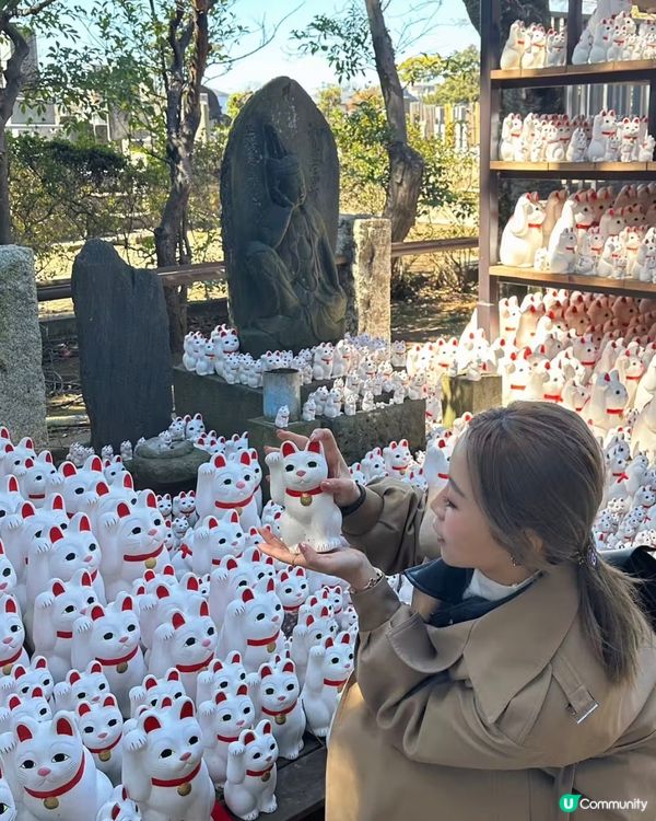 千貓招福！豪德寺許願攻略 🐱✨